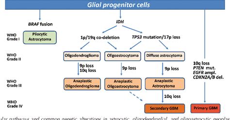 Figure 1 From Molecular Diagnostics Of Gliomas Semantic Scholar