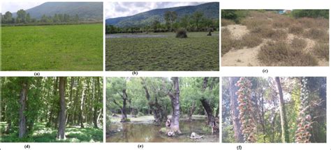 Soil samples were collected from cropland (a), grassland (b), sand ...