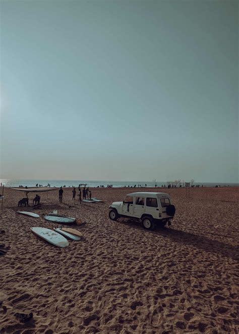 Best Corn Maze North Fork Long Island: Unveiling a Unique Agricultural