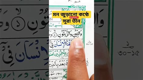 সূরা তীনের অন্তর ঠান্ডা করা কন্ঠে তিলাওয়াত। Quran Quranrecitation