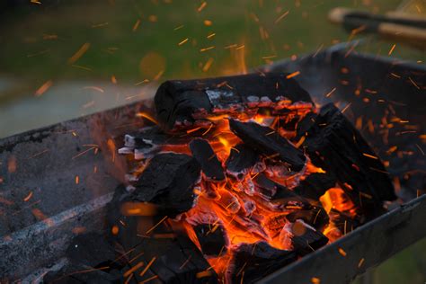 Medidas De Seguridad Al Hacer Una Parrillada Vivanuncios Magazine