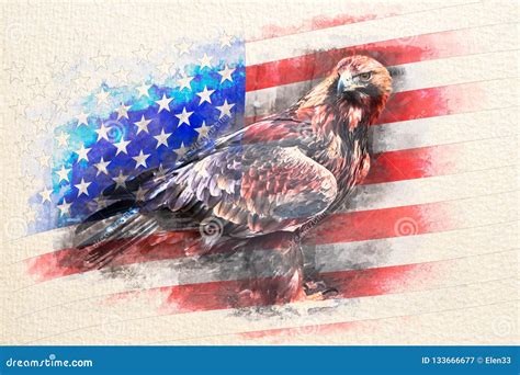 American Bald Eagle Combined With Usa Flag Stock Illustration