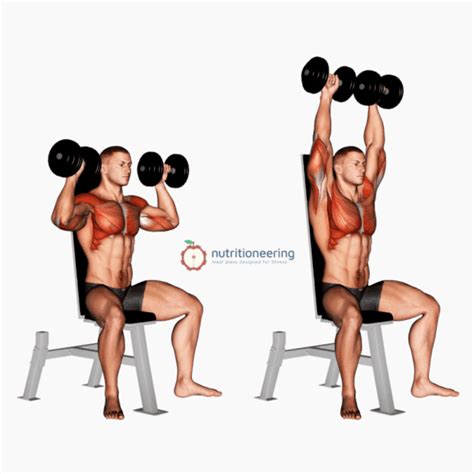 seated dumbbell shoulder press   fix  form
