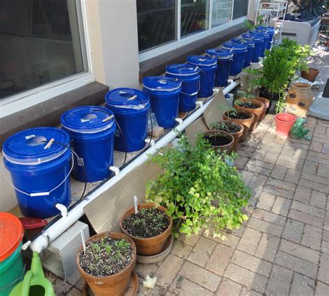 12 Bucket Dutch Bucket Hydroponic System Aquaponics Aquaponics Diy