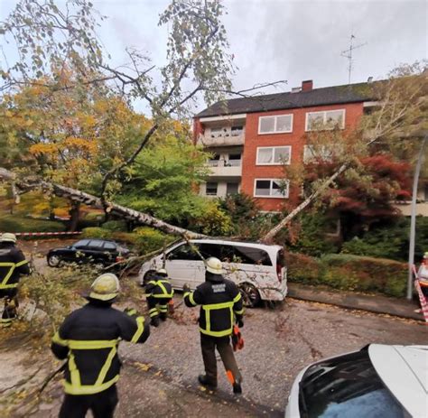 Mehrere Bäume in Hamburg umgestürzt Warnung vor Sturmflut WELT