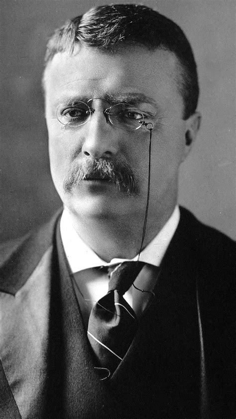 Theodore Roosevelt President Us Hd Phone Wallpaper Peakpx