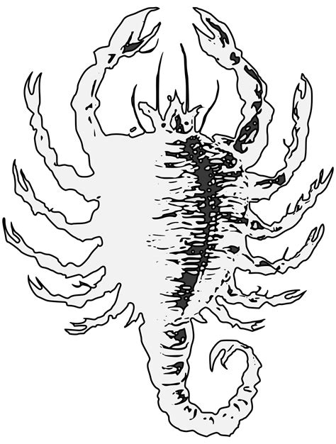 Scorpion Traceable Heraldic Art