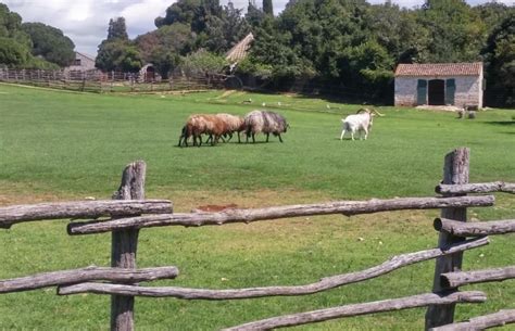skriveni raj na zemlji nacionalni park brijuni