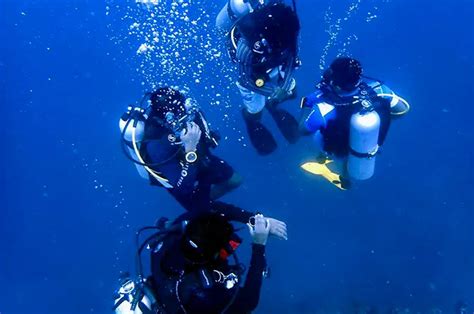 Scuba Diving – Blue Deep Diving