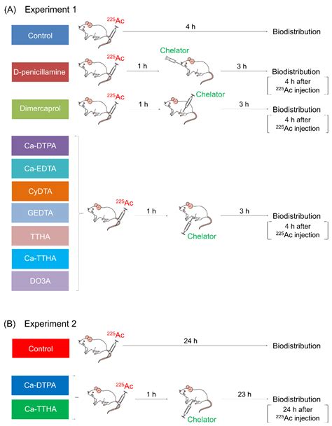 Pharmaceutics Free Full Text Evaluation Of Aminopolycarboxylate