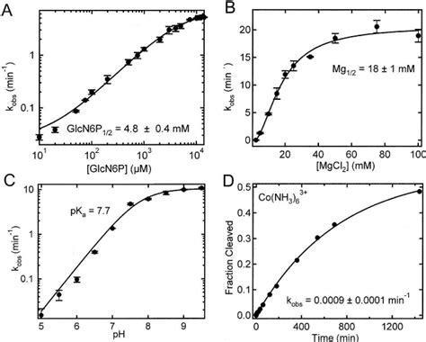 Characteristics Of GlmS Catalytic Riboswitch Cleavage In Trans A