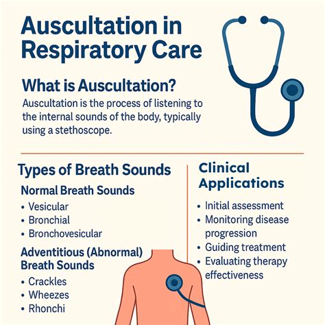 auscultation   lungs overview  practice questions