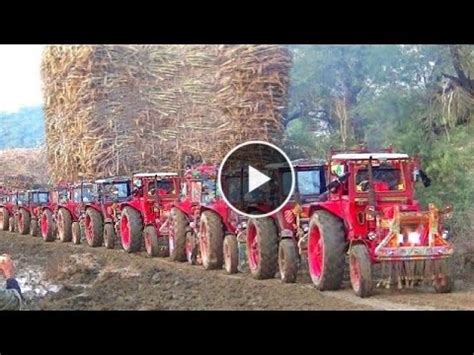 Most Badly Mud Stuck Trailer Belarus Tractors Pulled Out Extremely