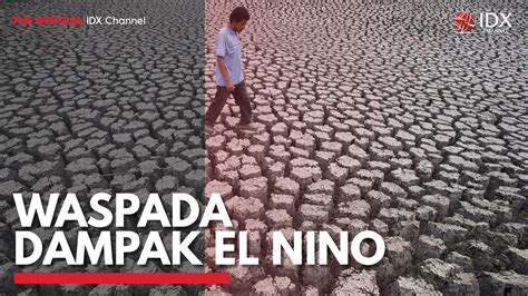 Waspada Dampak El Nino IDX CHANNEL YouTube