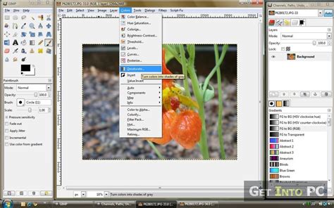 Gimp Download For Mac And Windows Image Manipulation Tool