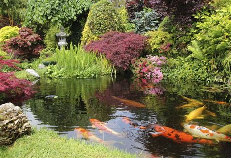 20+ Japanese Garden Pond Ideas – The Urban Decor