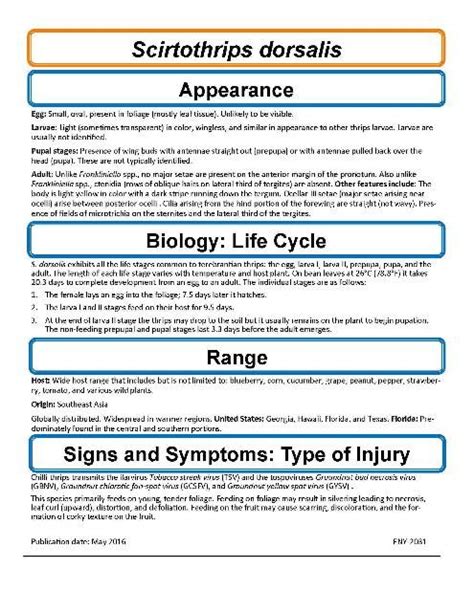 ENY 2031 IN1124 Pest Identification Guide Chilli Thrips Scirtothrips