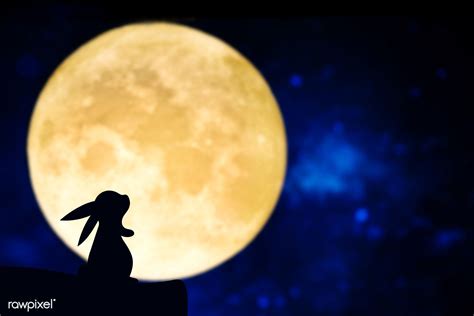 Download free image of Easter bunny silhouette over a full moon about ...