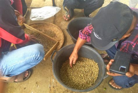 Kelompok Swadaya Masyarakat Antusias Ikuti Pelatihan Pengolahan Kopi