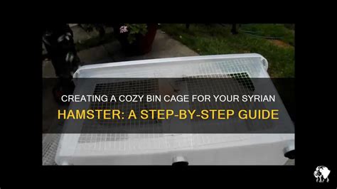 Creating A Cozy Bin Cage For Your Syrian Hamster A Step By Step Guide