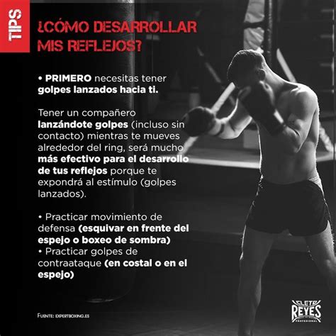 Pin De German Gonzalez En Boxeo Rutina De Boxeo Beneficios Del Boxeo