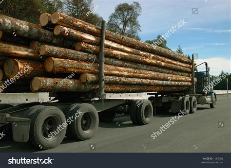 Logging Truck Loaded Freshly Cut Logs Stock Photo Shutterstock