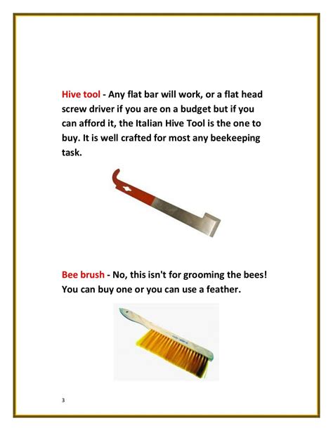 What Youll Need To Start A Beehive A Quick Guide To Starting A Beehive In Your Garden