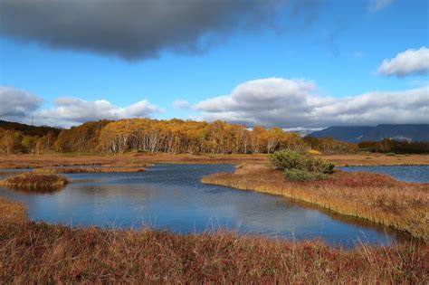 Automne Lac Forêt Photo gratuite sur Pixabay Pixabay