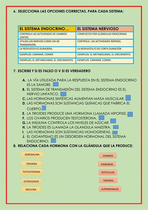 Sistema Endocrino Quinto Worksheet School Subjects Workbook Teachers