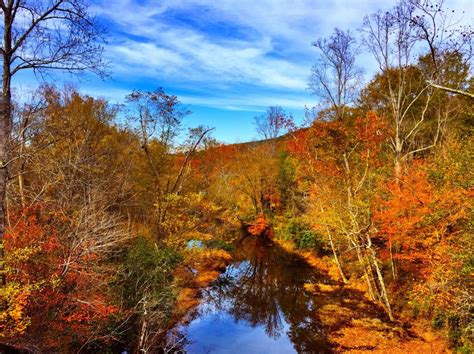 Talladega National Forest | Picture Birmingham