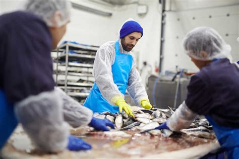 Usines de pêche et de transformation du poisson ecolytech