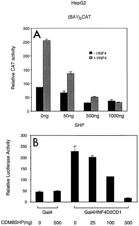 Repression Of Hnf Mediated Transactivation By Shp A Repres Sion