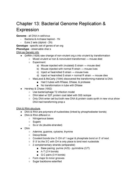 Microbio Ch Professor Dr Esiobu Chapter Bacterial Genome