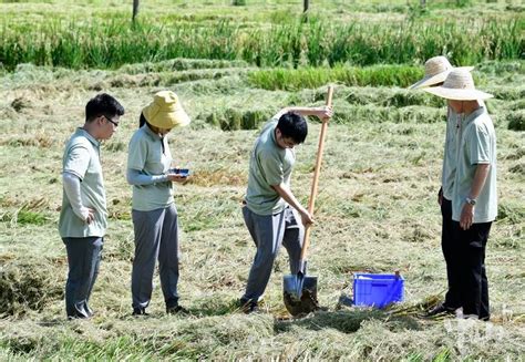 时隔40多年，中山再次开展土壤“家底”大摸查 新闻频道 中山网