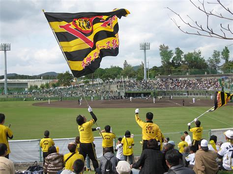 阪神タイガース春季キャンプ ｜ ぎのざの”いいね”案内します宜野座村観光協会