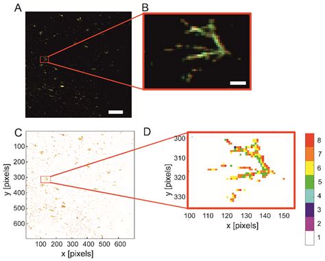 Molecules Free Full Text Multivariate Imaging For Fast Evaluation