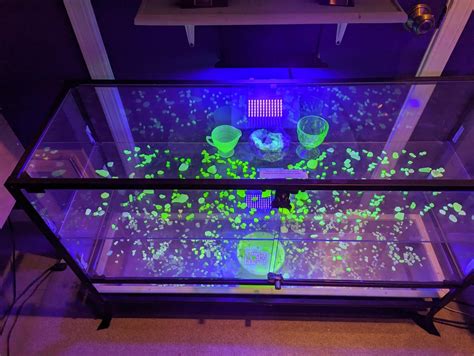 The Fort Bragg Sea Glass Museum has a black light room : r/uraniumglass