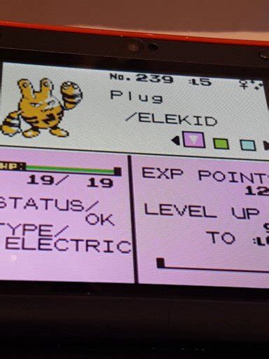 Got Myself A Shiny Elekid Into Electabuzz In Pokemon Crystal Odd Egg