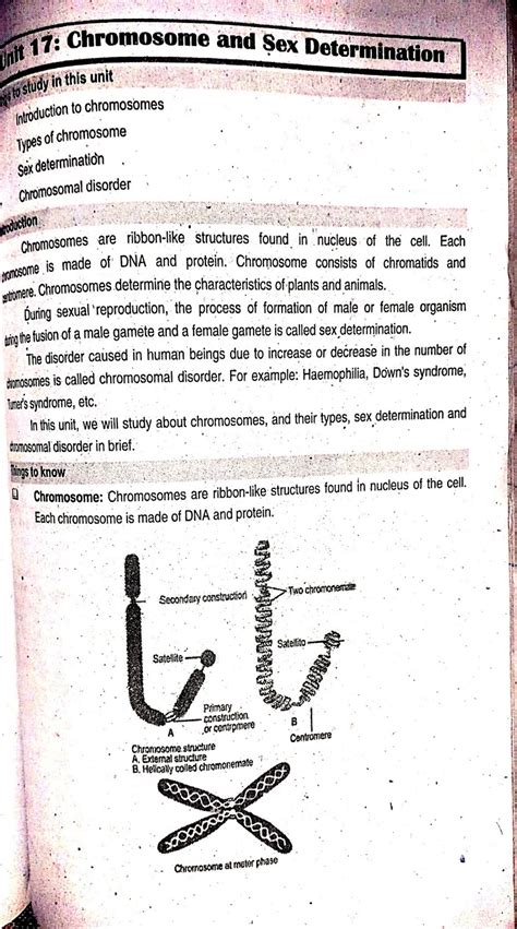 SCIENCE CLASS 10 UNIT 17 Chromosomes And Sex Determination Revival