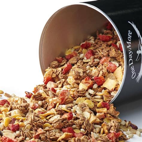 Protein Granola OneDayMore