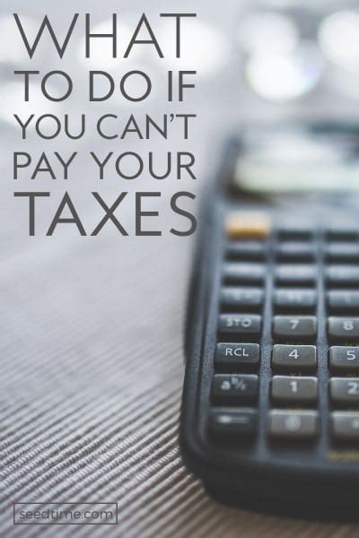 What To Do If You Can T Pay Your Taxes