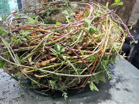 Seminar frühlingshaftes Osternest Werkraum für Blumengestaltung