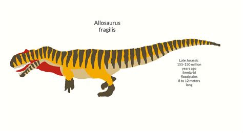 Allosaurus Fragilis Portrait By Makairodonx On Deviantart