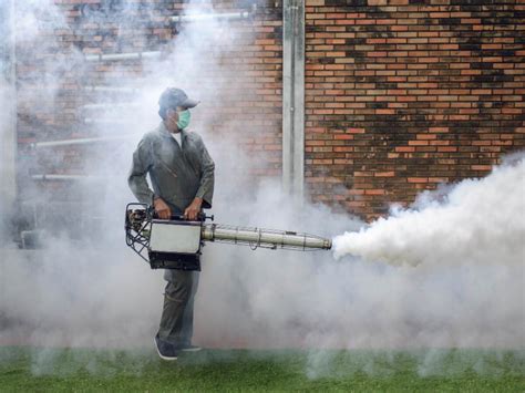 Mosquito Fogging Service In Malaysia Pesco Pest Control