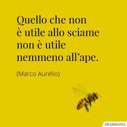 50 Frasi Sul Lavoro Di Squadra Con Immagini