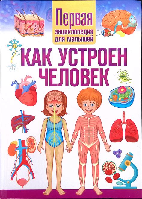 Как устроен человек. Первая энциклопедия для малышей - купить с ...