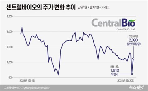 Sg증권 하한가 주가조작 사태 작전세력의 전말임창정 의사관여 폭등