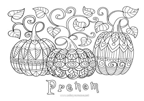 Coloriage N Citrouille Halloween Mandala