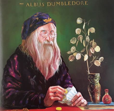 Albus Percival Wulfric Brian Dumbledore De Harry Potter Illustration