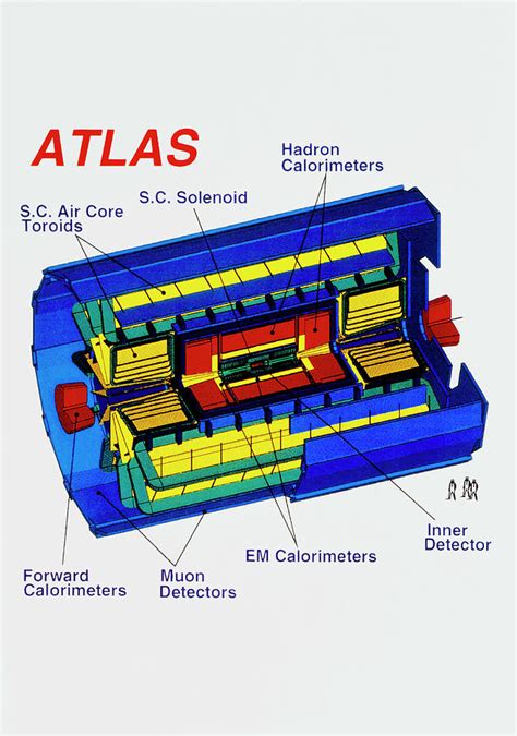 Diagram Of Atlas Detector For Lhc At Cern Photograph By Cernscience